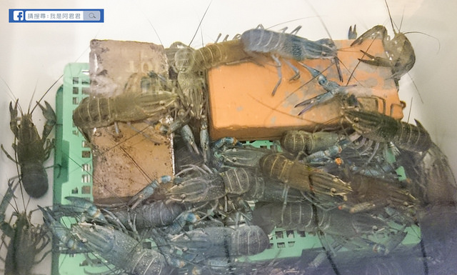 老漁港新海鮮美式餐廳_阿君君-0019