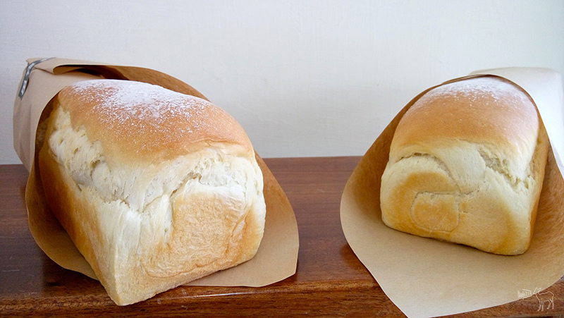 多畝田手工吐司:好吃早午餐板橋,推薦牛奶與雙層乳酪口味,南雅夜市捷運府中站美食