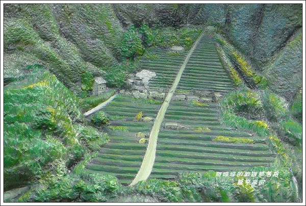 爺亨梯田 25.JPG