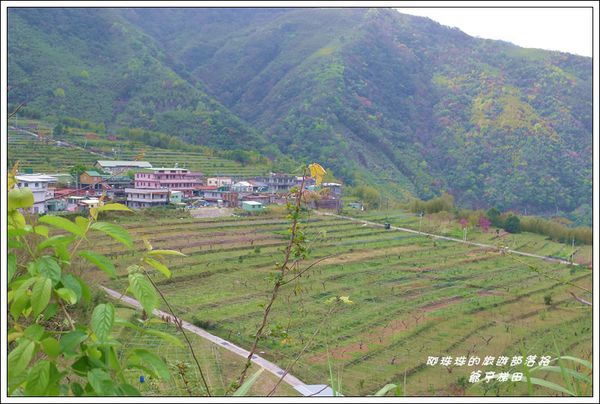 爺亨梯田 22.JPG