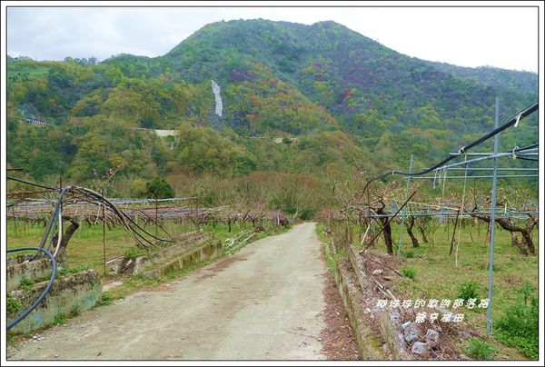 爺亨梯田 18.JPG