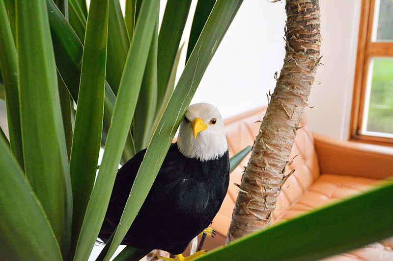 Cafe de Gear:古董洋房美好氛圍咖啡館,台北捷運中正紀念堂站