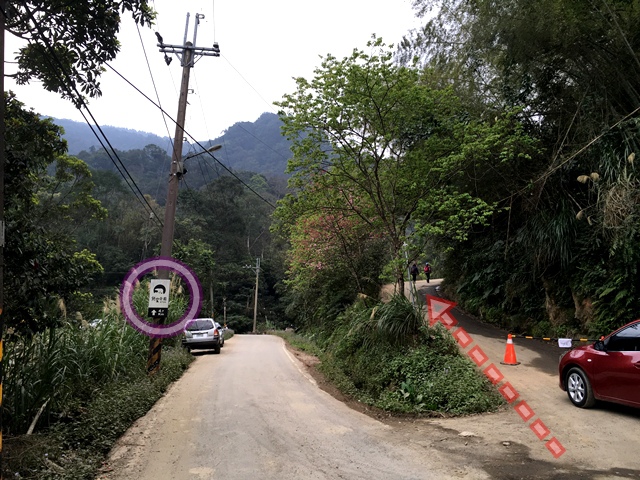 三峽竹崙路櫻花谷秘境