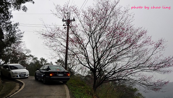 熊空竹崙路-19.JPG - 2016春暖花開