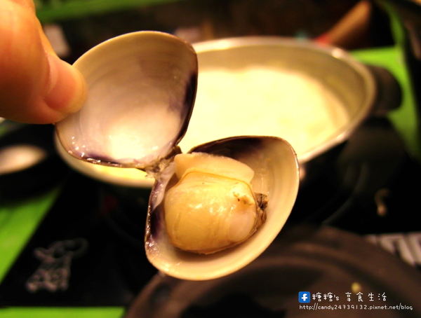 陶湘涮涮鍋(大業店):〖台中│美食〗陶湘涮涮鍋(大業店) ❤ 台中避冬美食新選擇,來自台南日式涮涮鍋,活跳跳的蝦子新鮮上桌,不僅是海鮮,就連肉品也超好吃!!