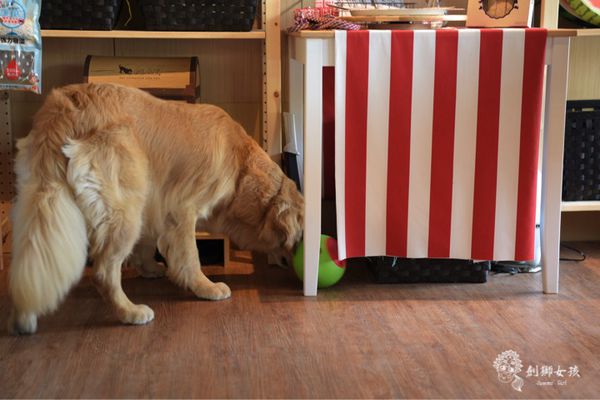 森呼吸寵物農場Jorona park29.jpg