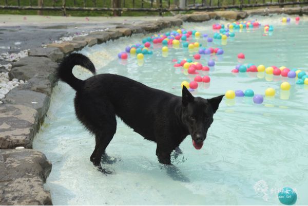 森呼吸寵物農場Jorona park59.jpg