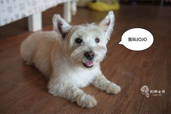 森呼吸寵物農場Jorona park24.jpg