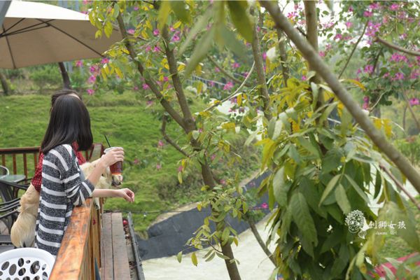 森呼吸寵物農場Jorona park112.jpg