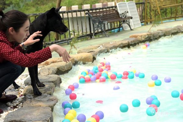 森呼吸寵物農場Jorona park57.jpg