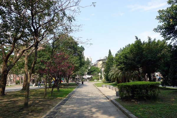 溪洲公園:(胖樺遊記)新北市板橋區溪崑街「溪洲公園」(近樹林火車站),抓住櫻花季的尾巴來賞花。同場加映公園轉角的「早安 美芝城」