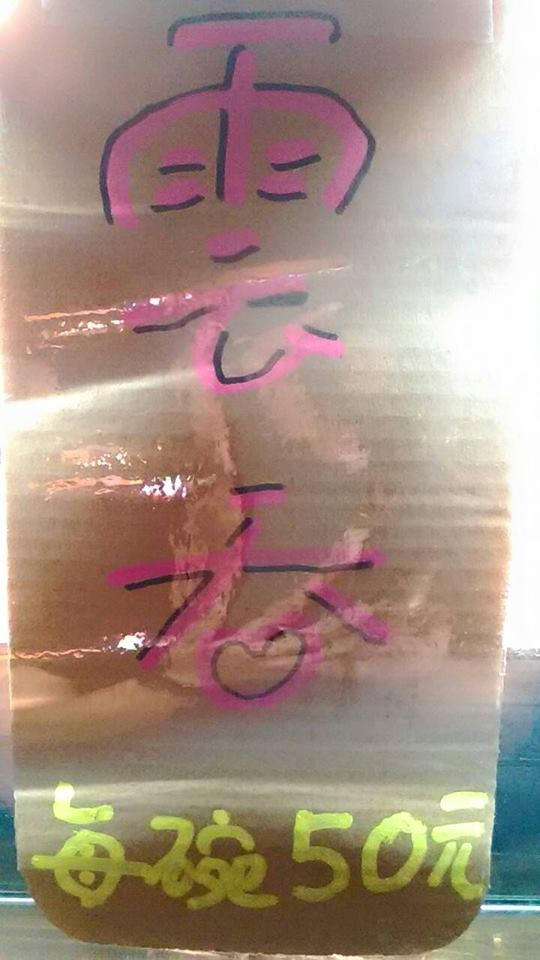 11188365_10155480060360375_7726051010962547442_n