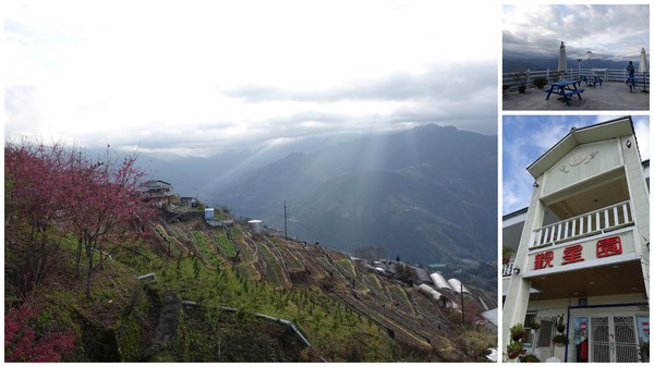 觀星園景觀山莊：(胖樺介紹) 清境地區最高山莊：海拔高度兩千多公尺「觀星園民宿」。前往武嶺、合歡山、小瑞士推薦住宿