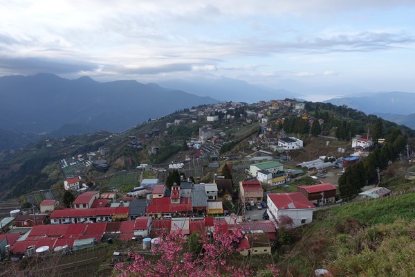 觀星園景觀山莊：(胖樺介紹) 清境地區最高山莊：海拔高度兩千多公尺「觀星園民宿」。前往武嶺、合歡山、小瑞士推薦住宿