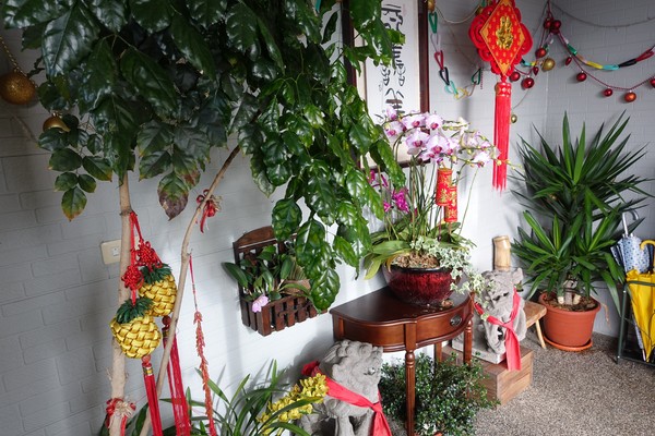 觀星園景觀山莊：(胖樺介紹) 清境地區最高山莊：海拔高度兩千多公尺「觀星園民宿」。前往武嶺、合歡山、小瑞士推薦住宿