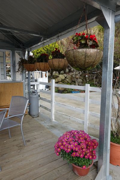 觀星園景觀山莊：(胖樺介紹) 清境地區最高山莊：海拔高度兩千多公尺「觀星園民宿」。前往武嶺、合歡山、小瑞士推薦住宿