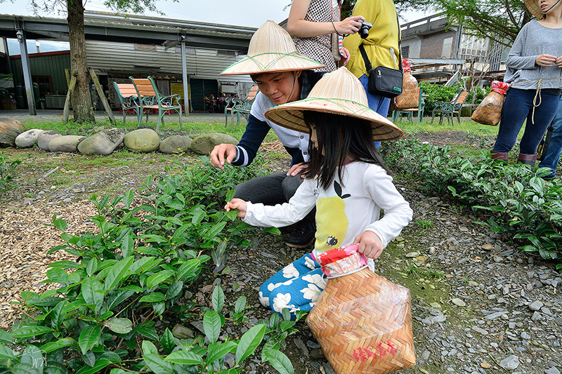 宜蘭冬山河一日遊-推薦新打卡景點:冬山火車站,冬山河生態綠舟,珍珠社區好食光食堂美食,中山社區綠野茶園採茶體驗