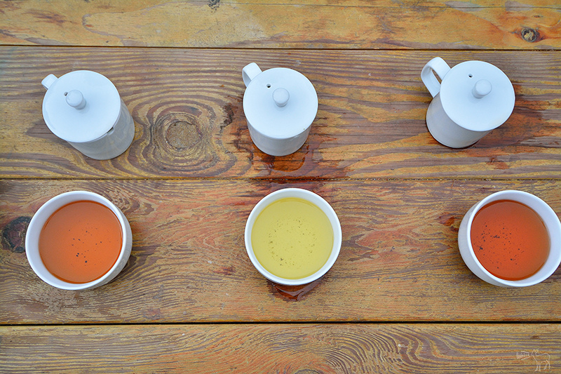 宜蘭冬山河一日遊-推薦新打卡景點:冬山火車站,冬山河生態綠舟,珍珠社區好食光食堂美食,中山社區綠野茶園採茶體驗