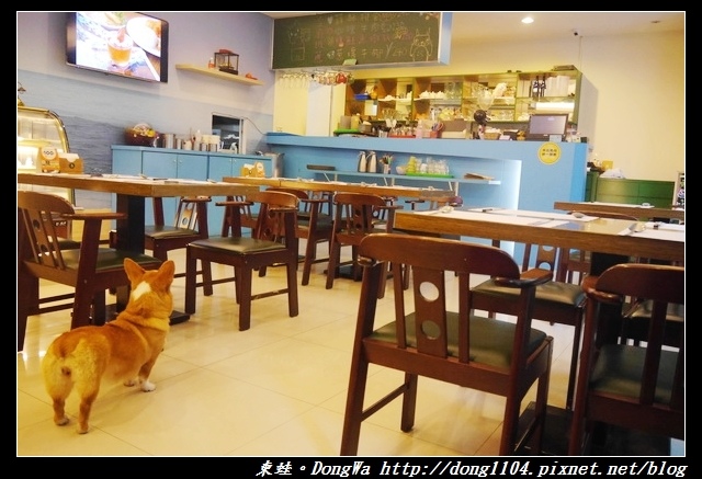 【桃園食記】柯基咖啡廳|寵物友善餐廳|彩色立體拉花咖啡|Venus cafe
