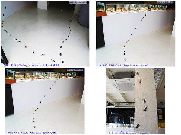 ChuChu Pâtisserie 啾啾法式甜點:(台南。東區美食)『ChuChu Pâtisserie 啾啾法式甜點』給妳幸福的午茶時光~ 精緻甜點,美味鹹派,甜鹹皆宜,讓你一吃就愛上~ 季節限定(草莓塔)限量供應中!