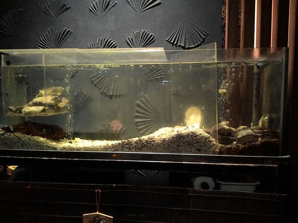 江戶龍壽司(二店)：刺身享宴~ .. 江戶龍壽司(二店)