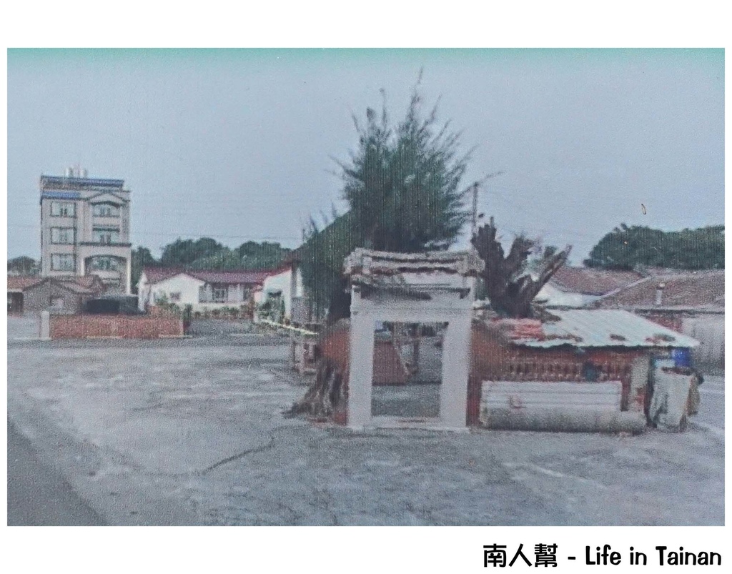 2016學甲蜀葵花季