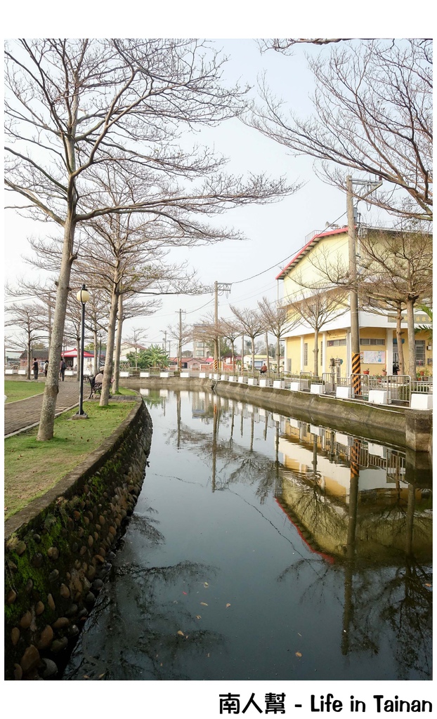 2016學甲蜀葵花季