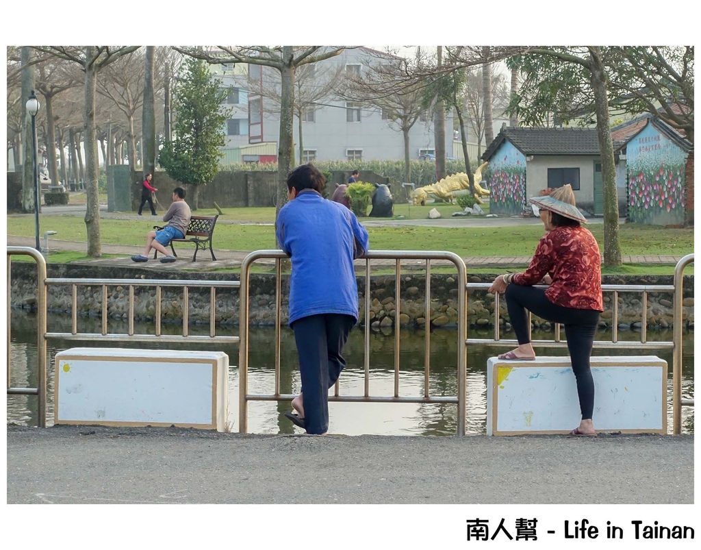 2016學甲蜀葵花季