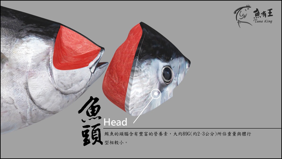 魚頭.jpg