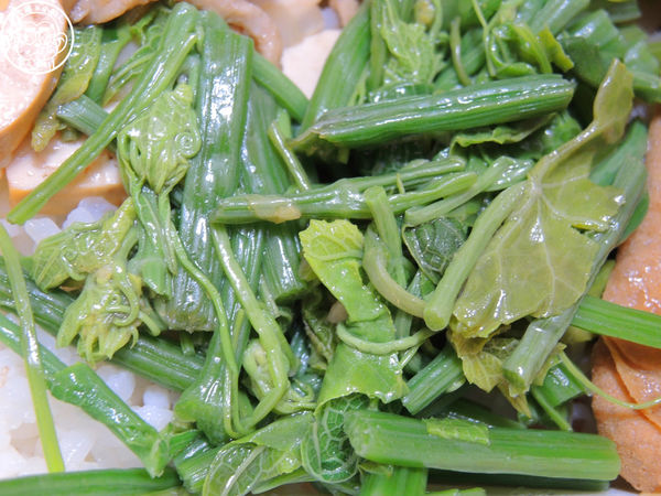 曾記便當:呷飽祙【台北松山・曾記便當】節目一代女王鍾欣凌推薦