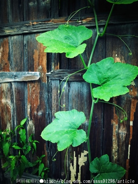 劉氏宗祠:【旅行遊記。屏東萬巒鄉】劉氏宗祠。意蘊豐富的客家合院老建築