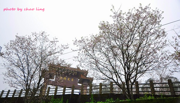 石碇無極天明宮-1.JPG - 2016春暖花開