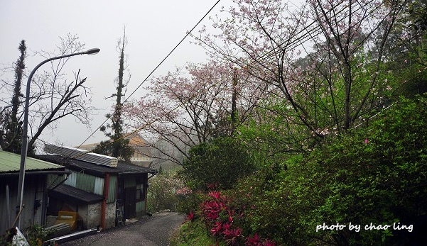 石碇無極天明宮-22.JPG - 2016春暖花開