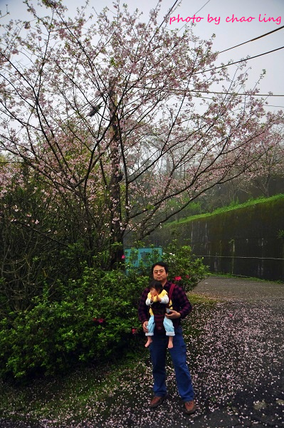 石碇無極天明宮-13.JPG - 2016春暖花開