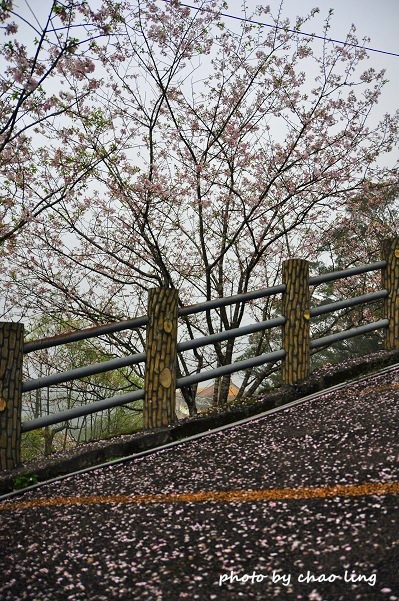 石碇無極天明宮-5.JPG - 2016春暖花開