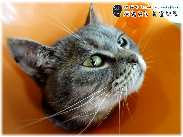 cm20160415___ddd4d5d2cdad89143b3637bce04