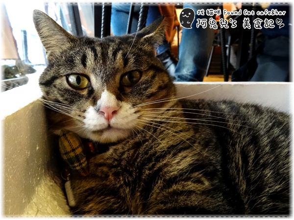 cm20160415___54eb417b77627efb05a764050cb