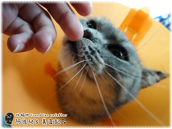 cm20160415___5d93ef254e79b415d280a439f3e