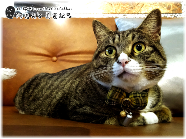 cm20160415___02d5173a79ed47614cf4106c1cb