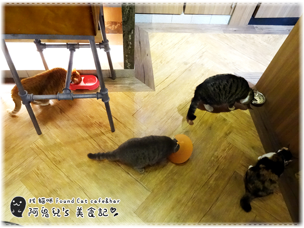 cm20160415___22221af0a3708eab5f21028d44f