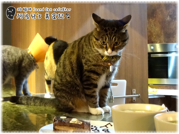 cm20160415___3b97c83f1c91593071037bb0c7b