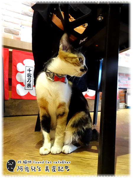 cm20160415___2d96ee3c1b68fb28fe9e62c23d8