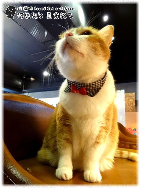 cm20160415___65fffa1e8609f30f7a712e921a8