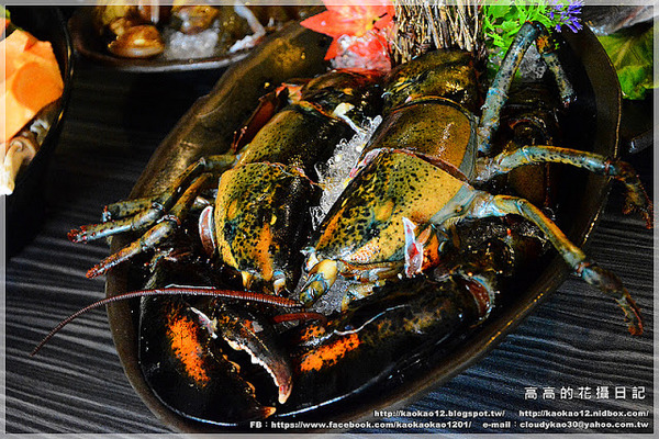 九鼎蒸霸蒸鮮料理:【高雄】鳳山區。九鼎蒸霸 蒸鮮料理 波士頓龍蝦雙人套餐