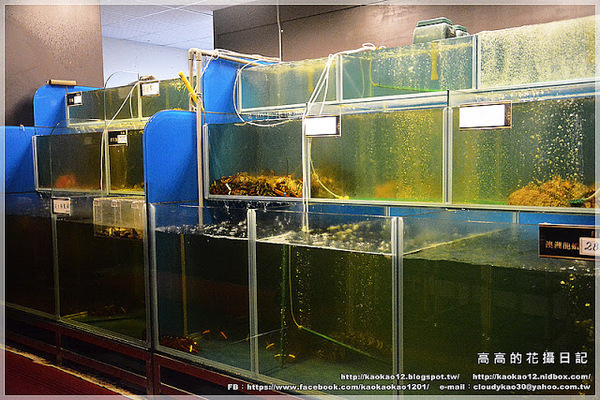 九鼎蒸霸蒸鮮料理:【高雄】鳳山區。九鼎蒸霸 蒸鮮料理 波士頓龍蝦雙人套餐