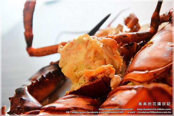 九鼎蒸霸蒸鮮料理:【高雄】鳳山區。九鼎蒸霸 蒸鮮料理 波士頓龍蝦雙人套餐