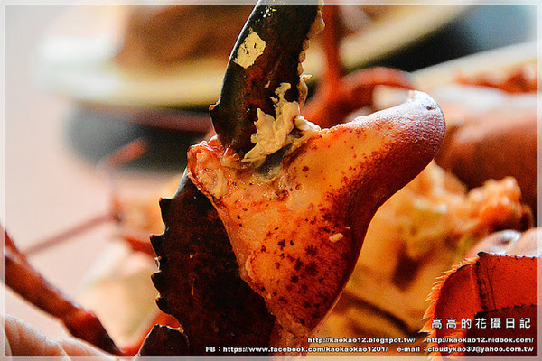 九鼎蒸霸蒸鮮料理:【高雄】鳳山區。九鼎蒸霸 蒸鮮料理 波士頓龍蝦雙人套餐