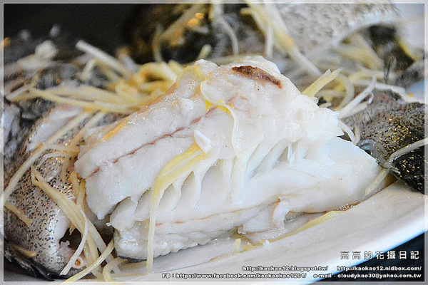 九鼎蒸霸蒸鮮料理:【高雄】鳳山區。九鼎蒸霸 蒸鮮料理 波士頓龍蝦雙人套餐