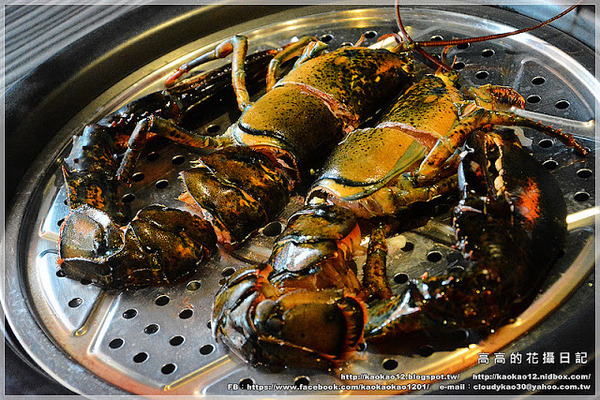 九鼎蒸霸蒸鮮料理:【高雄】鳳山區。九鼎蒸霸 蒸鮮料理 波士頓龍蝦雙人套餐