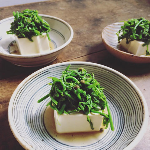 12804769_1051252374932257_2564502662157901877_n